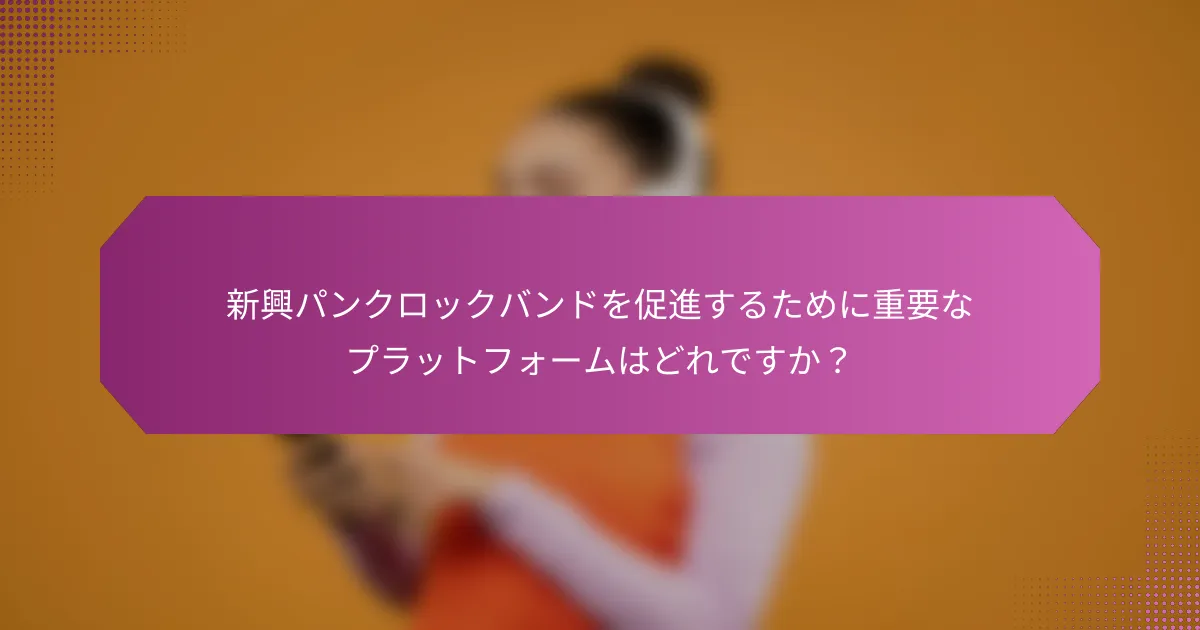新興パンクロックバンドを促進するために重要なプラットフォームはどれですか?